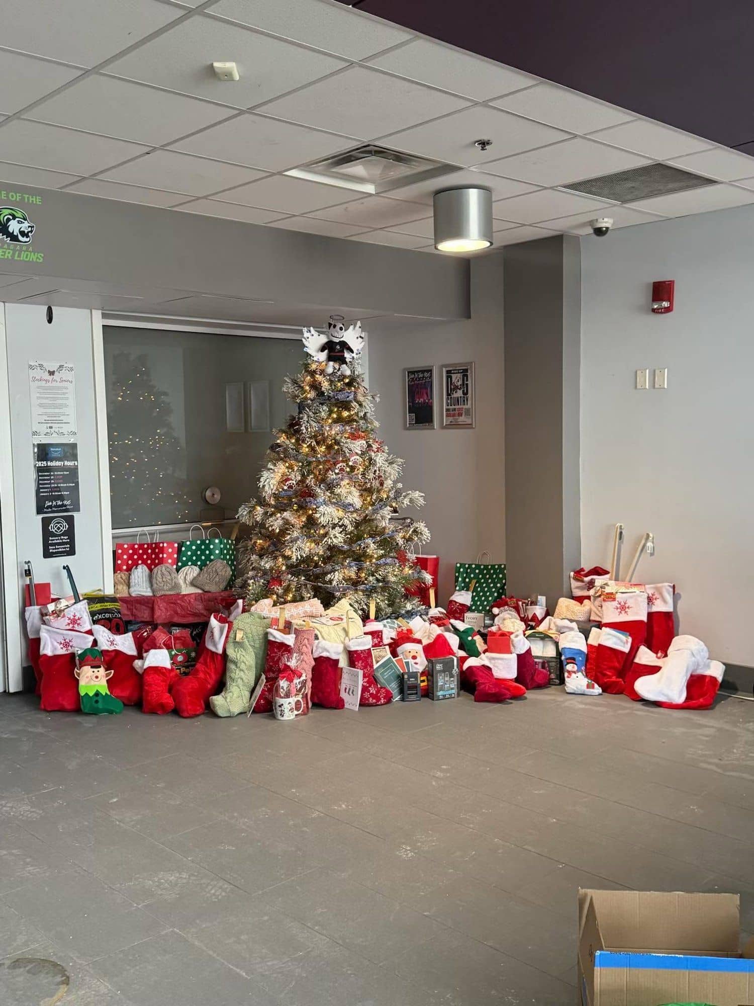 Dozens of delivered stockings gathered under a decorated Christmas tree